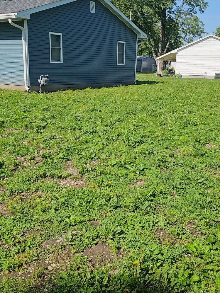 Reliable lawn care service with custom design in Arenzville, IL by American Pride Tractor Services & Power Washing