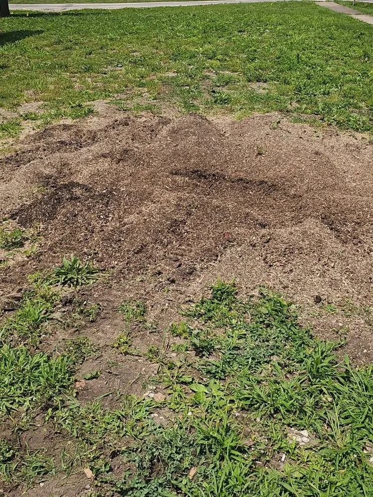 Top-rated lawn care service in Arenzville, IL - American Pride Tractor Services & Power Washing