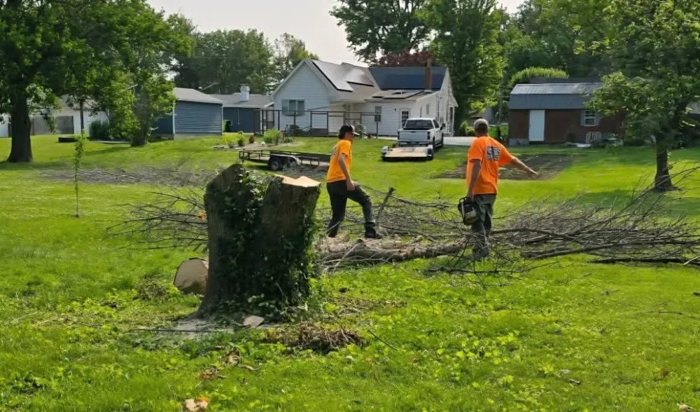 Top-rated outdoor landscaping for outdoor upgrades in Arenzville, IL by American Pride Tractor Services & Power Washing