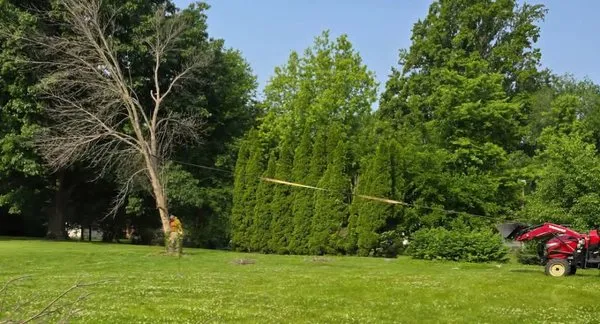 American Pride Tractor Services & Power Washing
