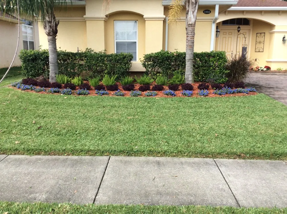 Local yard cleanup service in Kissimmee, FL by American Pro Landscaping
