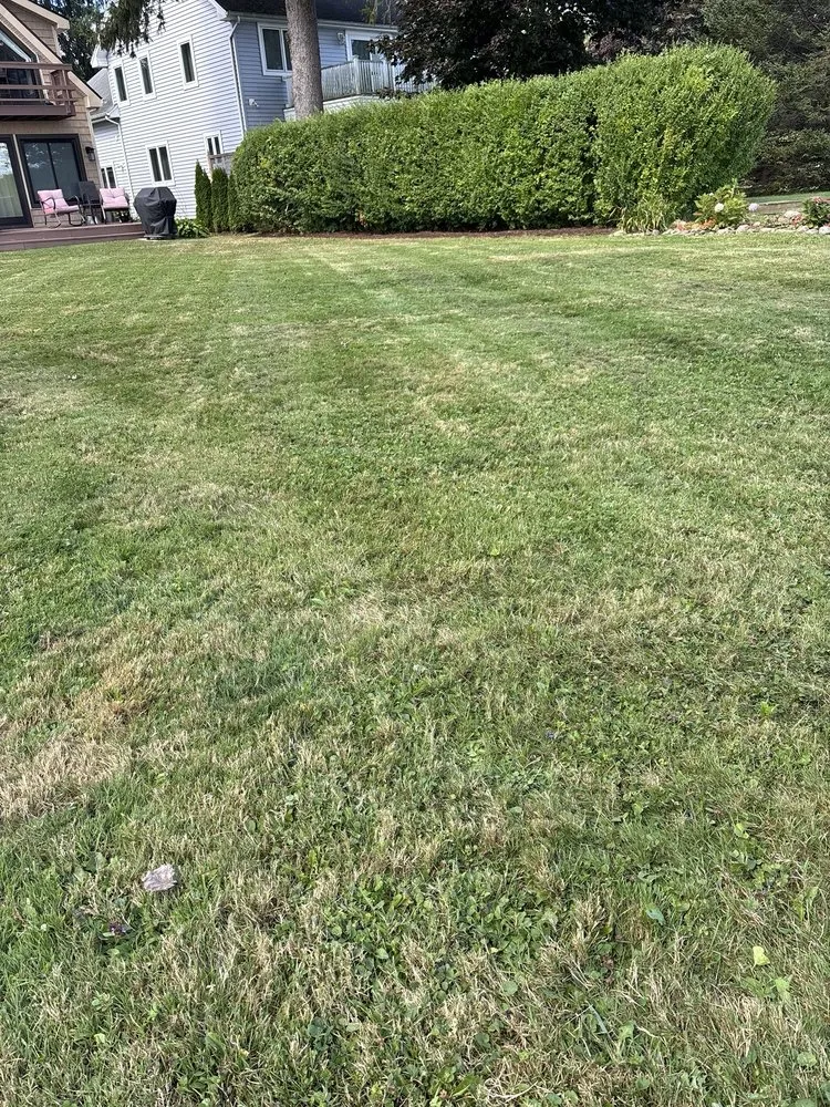 Affordable residential landscaping in Westfield, NY - American Properties Lawn & Handyman
