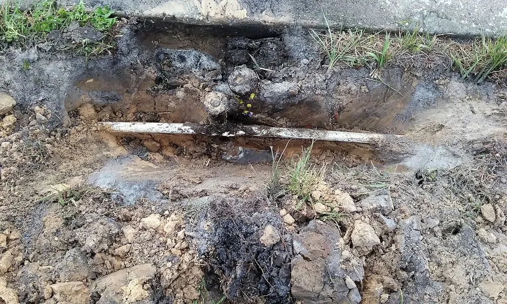 Custom landscape design for beautiful yards in Ridge Manor, FL by American Property Maintenance