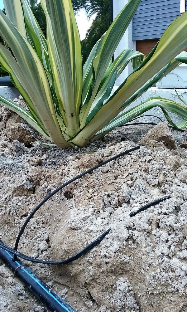 Top-rated garden landscaping for homes across Ridge Manor, FL - American Property Maintenance