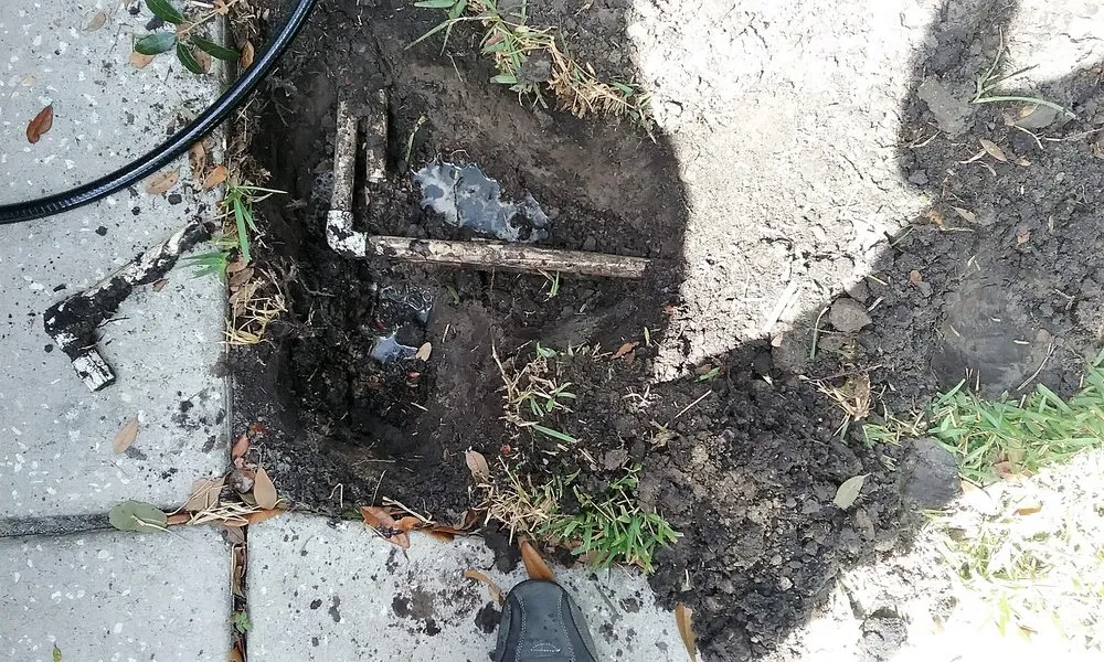 Local lawn care service in Ridge Manor, FL by American Property Maintenance