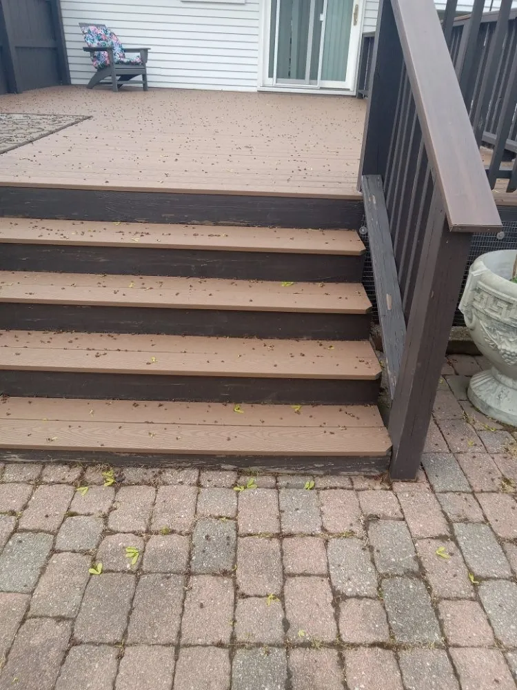 Local landscape design in Fairport Harbor, OH - American Property Management Contractors