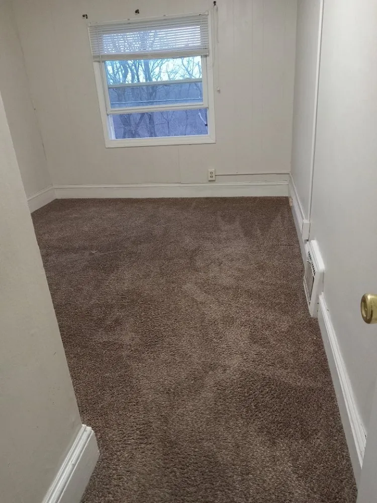 Reliable yard cleanup service near you across Fairport Harbor, OH - American Property Management Contractors