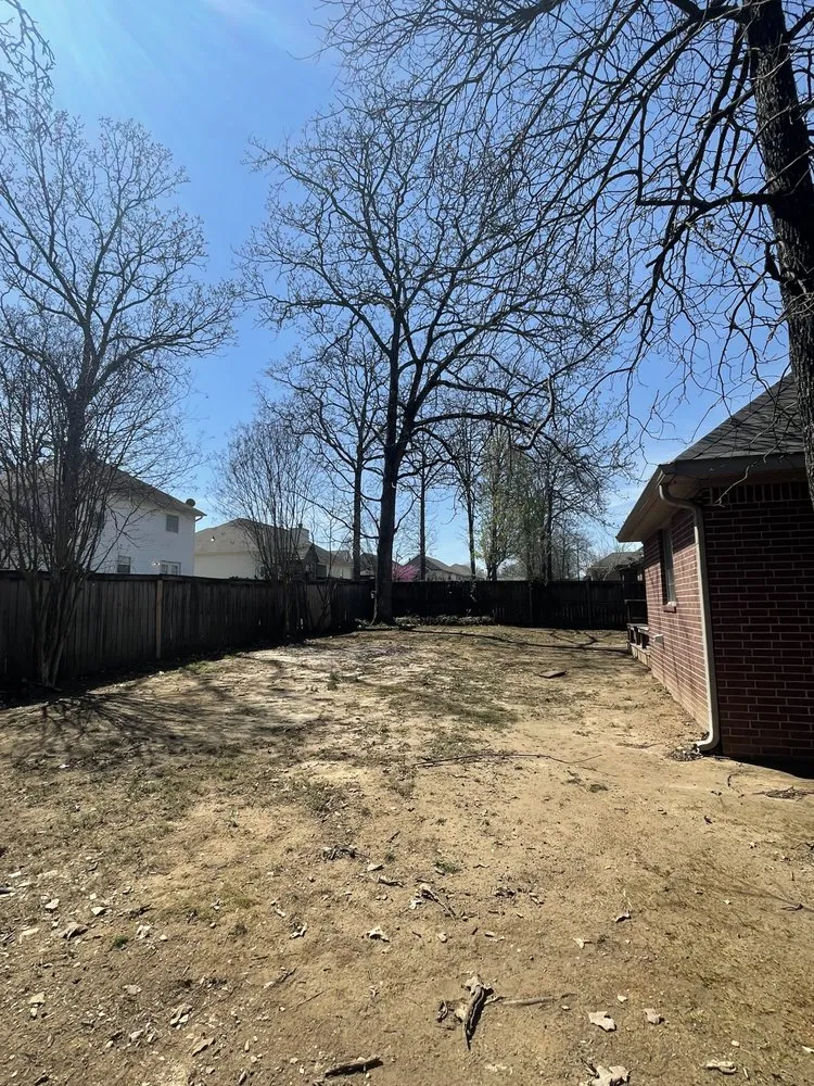 Reliable lawn mowing service in Sherwood, AR by American Property Services