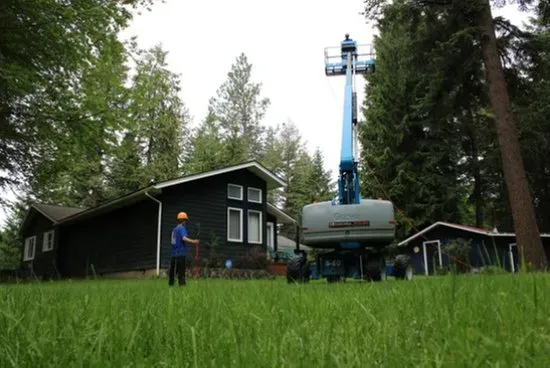 Local lawn mowing service for outdoor upgrades in Coeur D Alene, ID by American Quality Tree Services