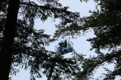 Custom outdoor landscaping with custom design across Coeur D Alene, ID - American Quality Tree Services