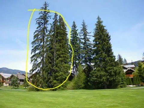 Reliable landscaping services in Coeur D Alene, ID by American Quality Tree Services