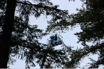 Expert garden landscaping in Coeur D Alene, ID - American Quality Tree Services