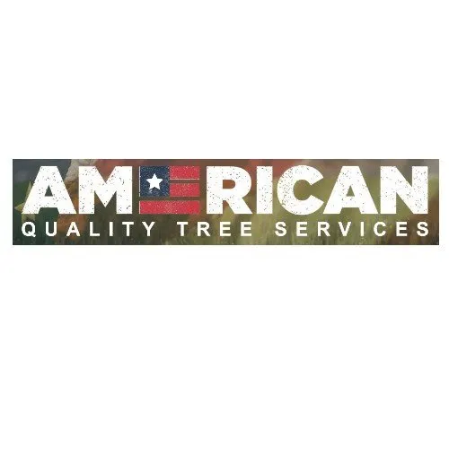 Reliable yard cleanup service in Coeur D Alene, ID - American Quality Tree Services