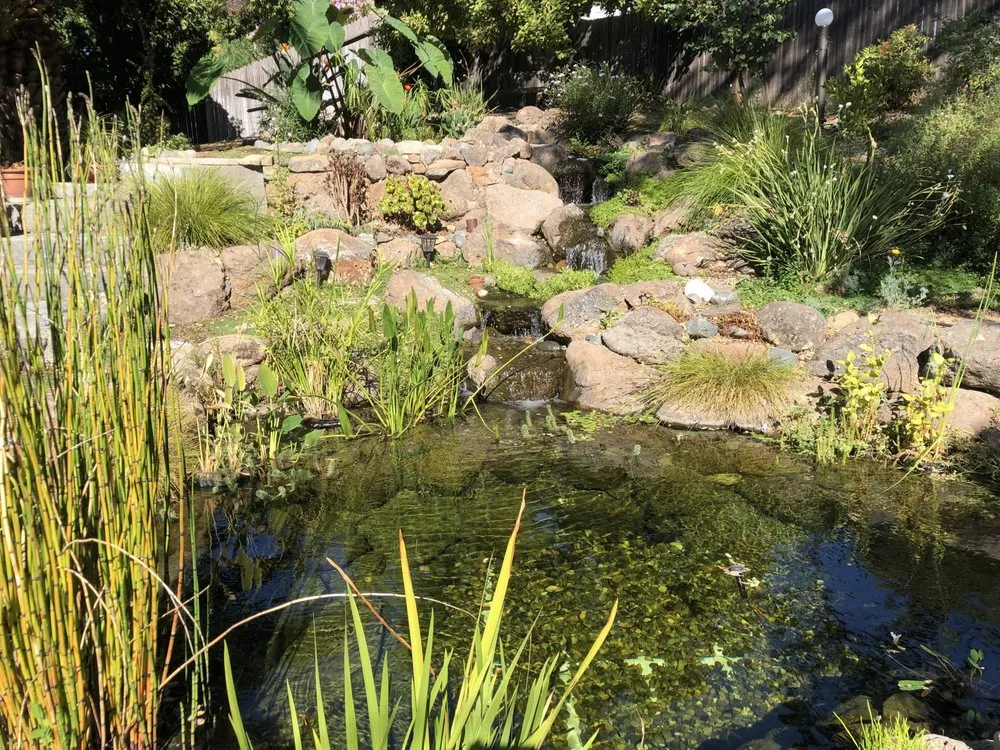 Professional yard maintenance experts serving Lincoln, CA - American River Waterscapes