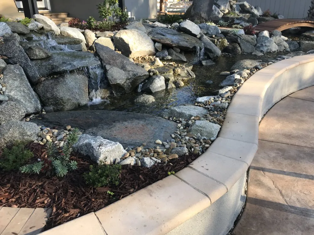 Local yard cleanup service in Lincoln, CA by American River Waterscapes
