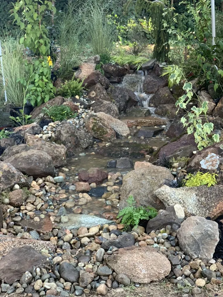 Expert landscape design in Lincoln, CA - American River Waterscapes