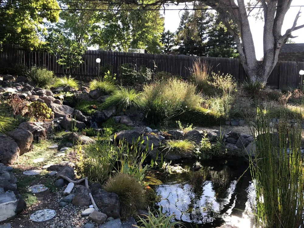 Reliable yard maintenance experts serving Lincoln, CA - American River Waterscapes