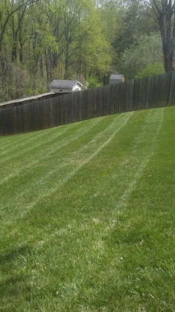 Local yard cleanup service in Roanoke, VA - American Roofing and Landscaping