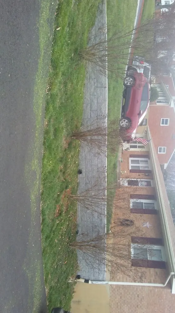 Reliable yard cleanup service in Roanoke, VA - American Roofing and Landscaping