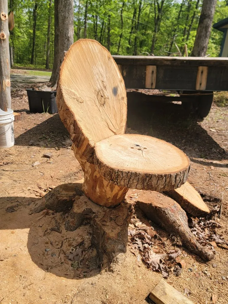 Local yard maintenance in Cartersville, VA - American Roots