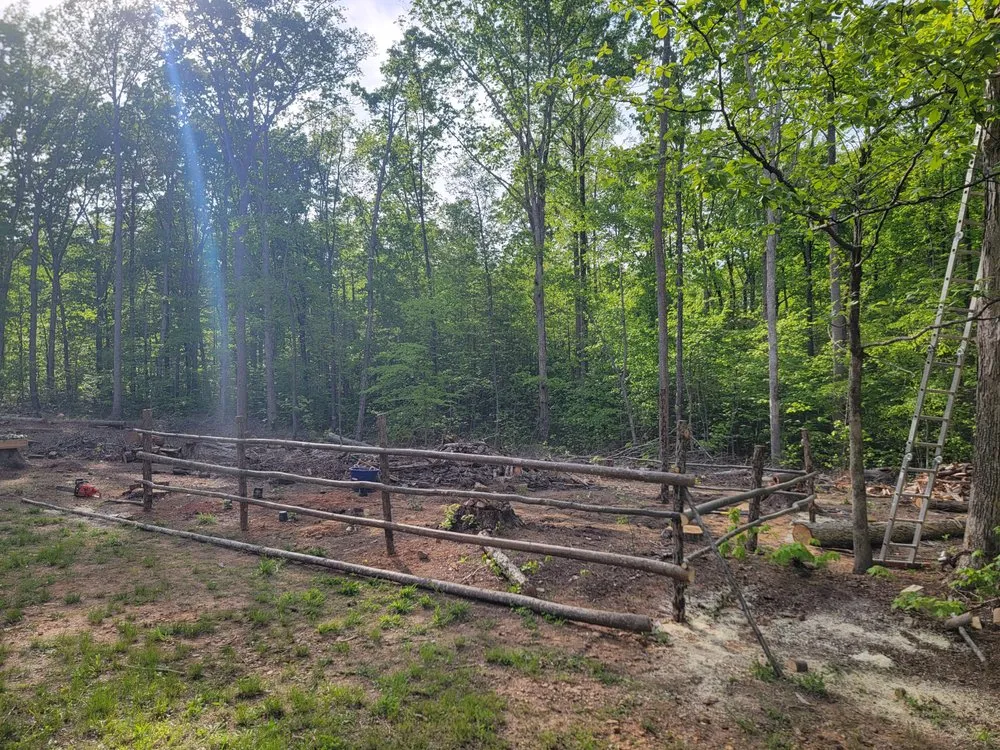 Top-rated landscaping services for homes in Cartersville, VA by American Roots