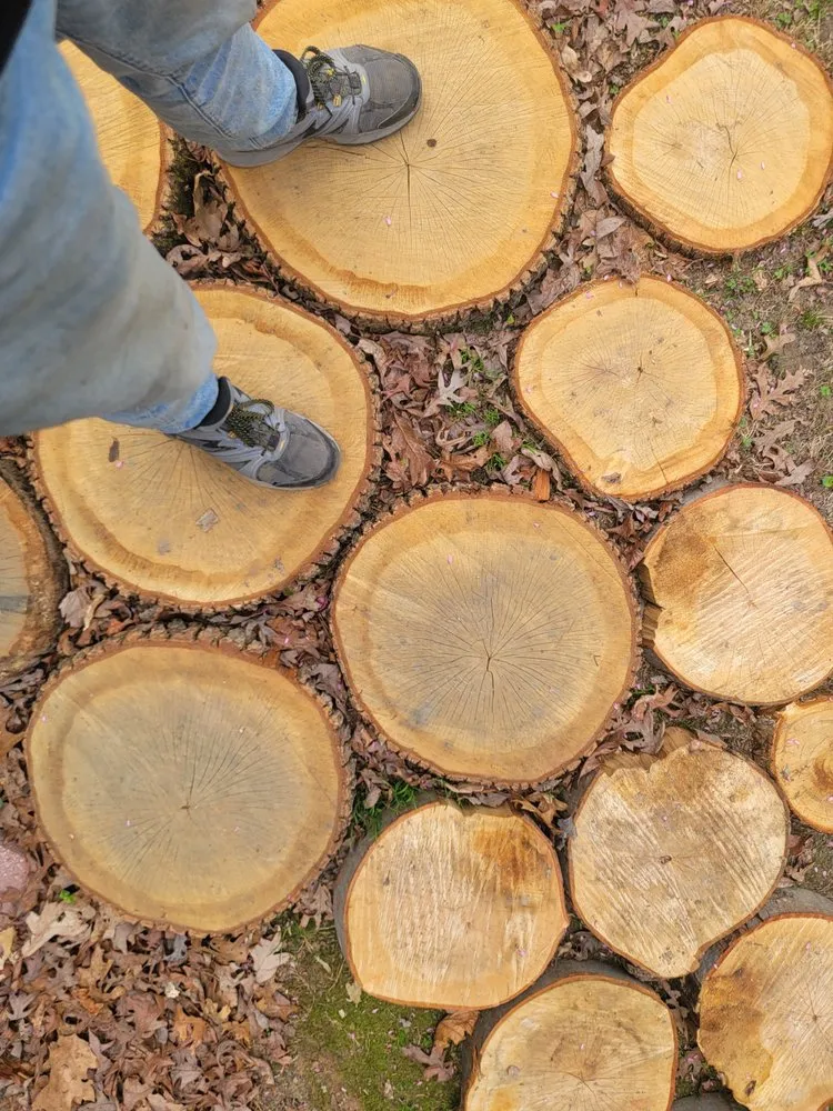 Professional residential landscaping experts serving Cartersville, VA - American Roots