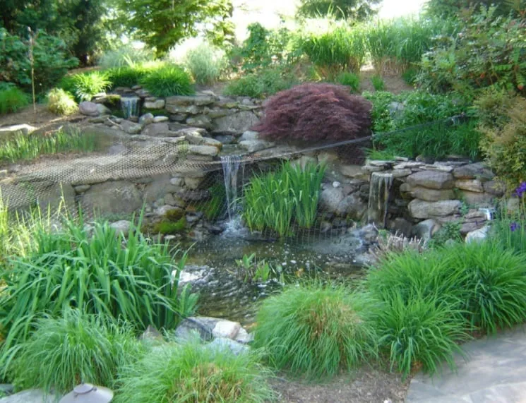 Custom landscape installation for homes across New Market, MD - American Roots Inc.