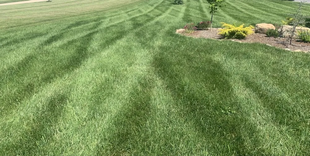 Trusted landscape installation in Limestone, TN by American Roots Lawn And Landscaping