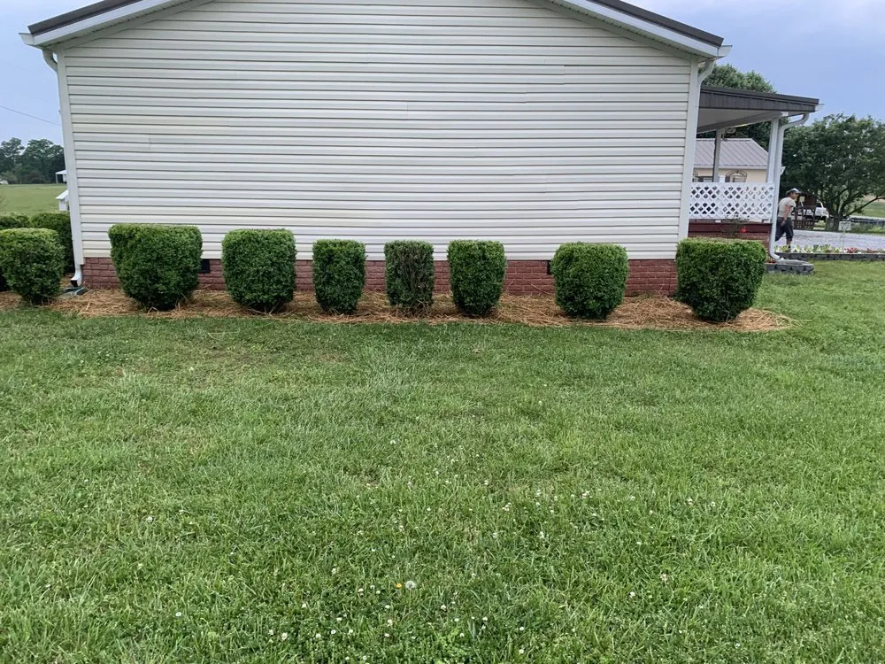 Top-rated landscape design experts serving Limestone, TN - American Roots Lawn And Landscaping