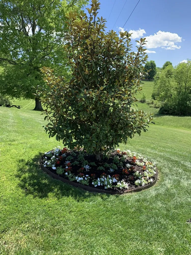 Reliable lawn care service in Limestone, TN by American Roots Lawn And Landscaping