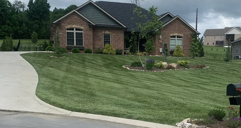 Reliable landscaping services experts serving Limestone, TN - American Roots Lawn And Landscaping