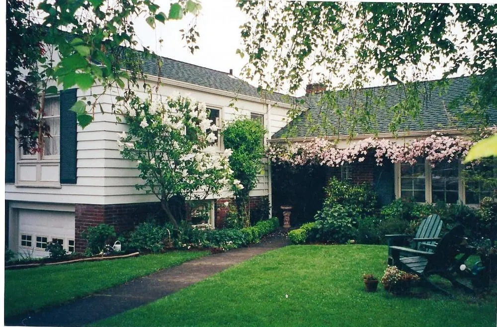 Expert lawn care service in Bellevue, WA by American Rose Garden