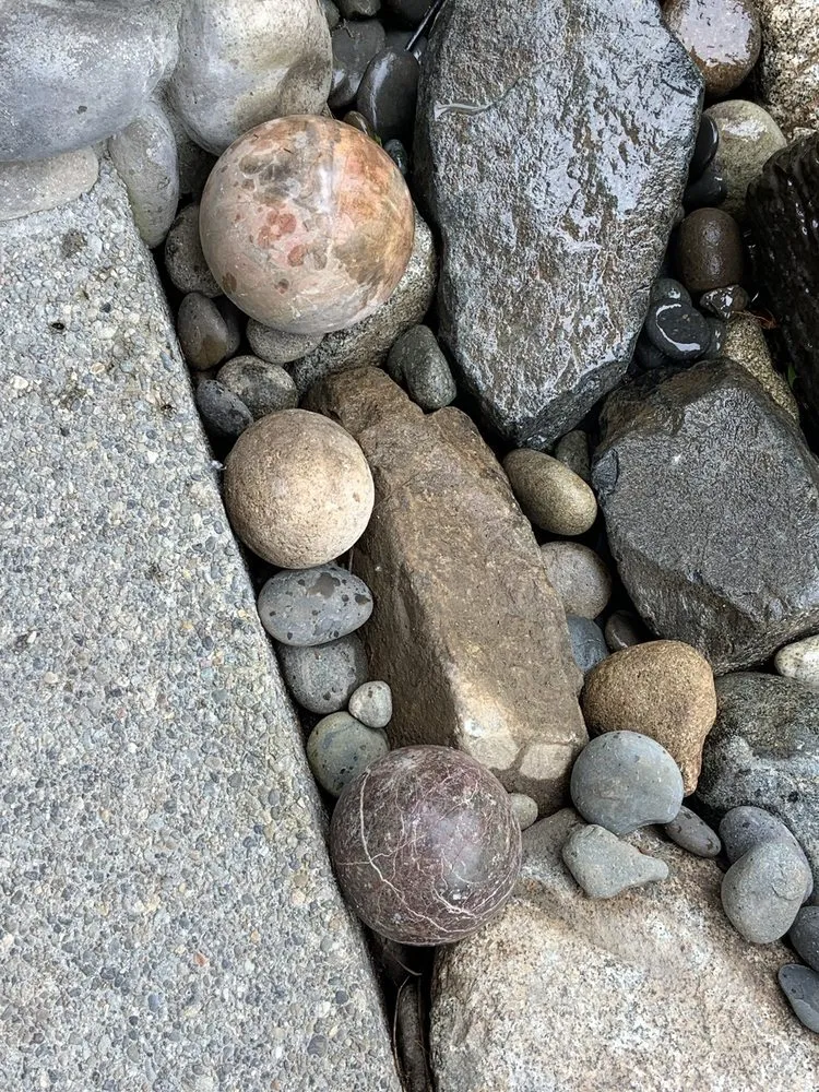 Professional landscape design experts serving Bellevue, WA - American Rose Garden