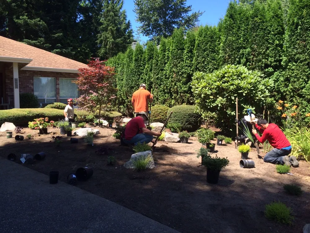 Trusted yard cleanup service for year-round maintenance in Bellevue, WA by American Rose Garden
