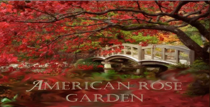 Trusted garden landscaping experts serving Bellevue, WA - American Rose Garden