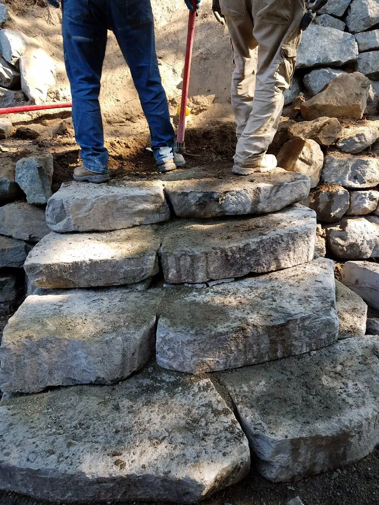 Professional lawn care service for beautiful yards across Bellevue, WA - American Rose Garden