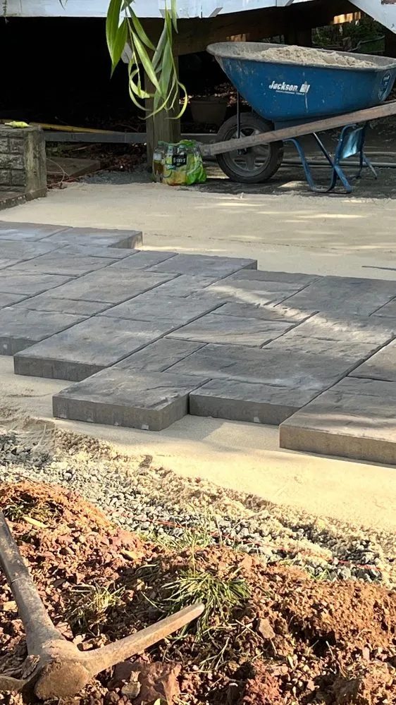 Professional yard cleanup service in Manassas, VA - American Rose