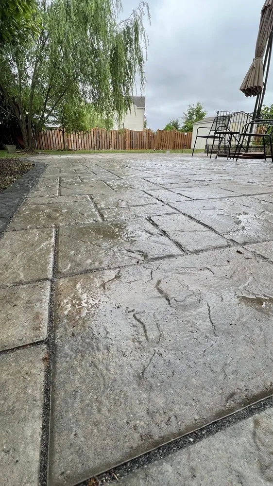 Expert yard cleanup service for beautiful yards in Manassas, VA by American Rose