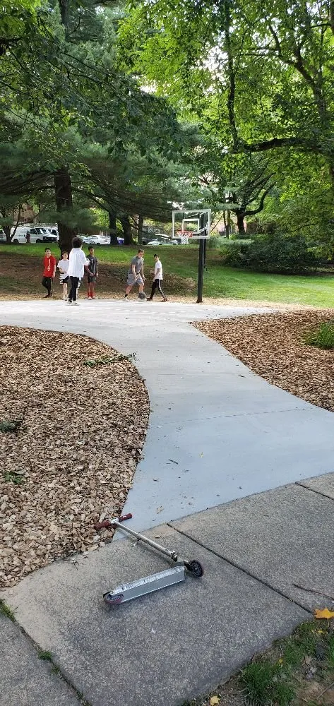 Local landscape installation experts serving Manassas, VA - American Rose