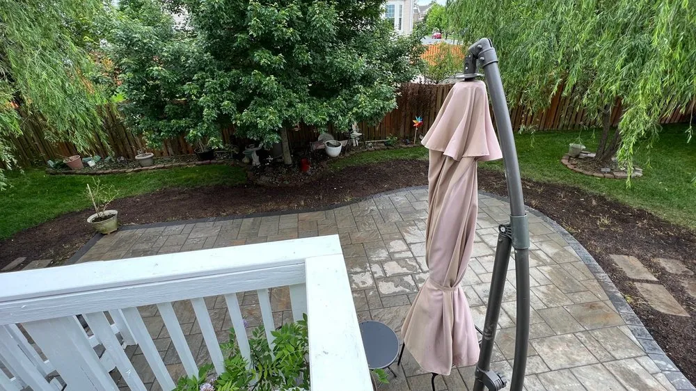 Reliable lawn care service in Manassas, VA - American Rose