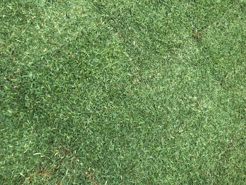 Expert garden landscaping for outdoor upgrades in Escondido, CA by American Sod Farms