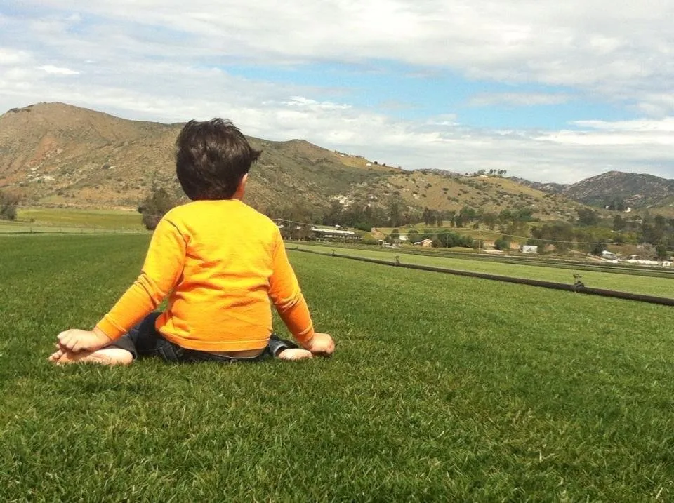 Trusted landscape installation experts serving Escondido, CA - American Sod Farms