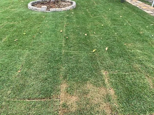 Professional landscaping services in Escondido, CA - American Sod Farms