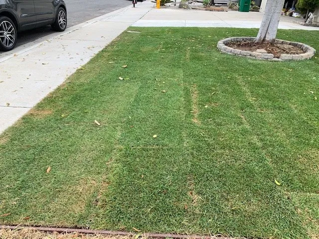 Trusted landscape installation experts serving Escondido, CA - American Sod Farms