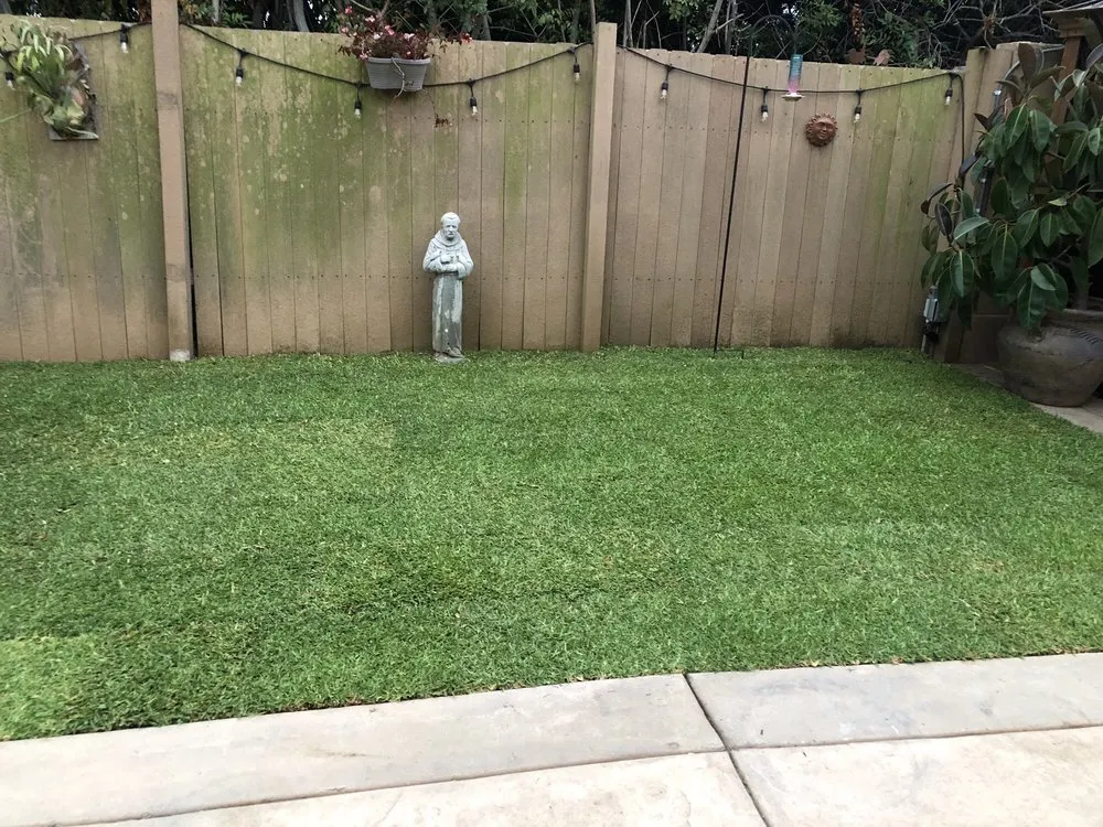 Professional outdoor landscaping experts serving Escondido, CA - American Sod Farms