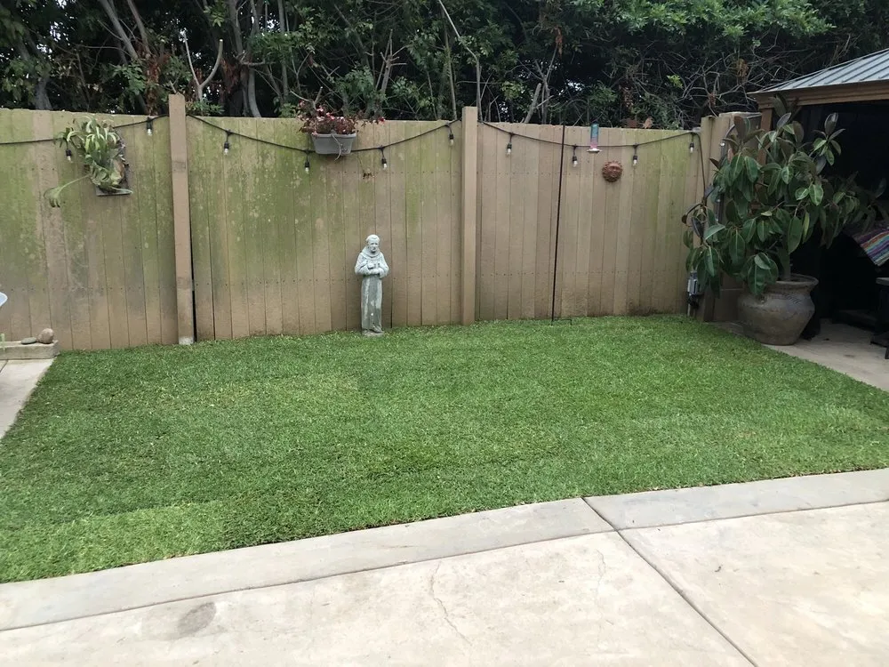 Professional yard maintenance in Escondido, CA - American Sod Farms