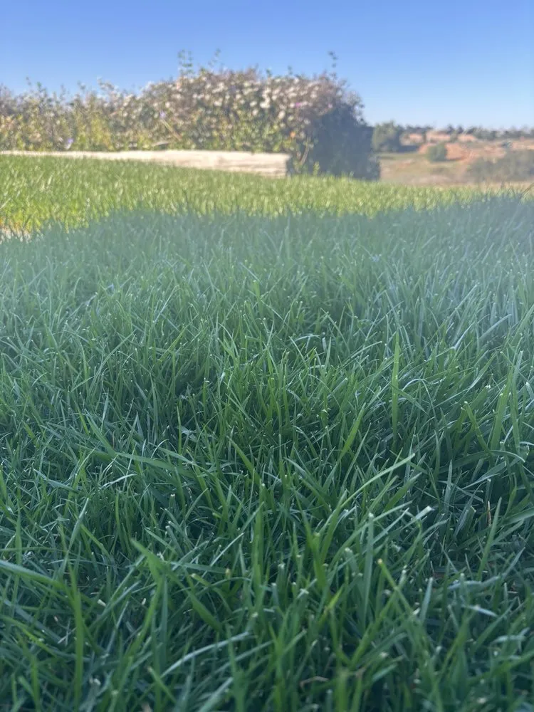 Top-rated garden landscaping in Escondido, CA by American Sod Farms