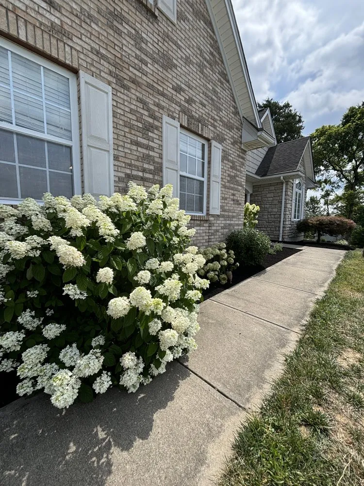 Reliable outdoor landscaping in Walton, KY - American Spirit Lawn And Landscape