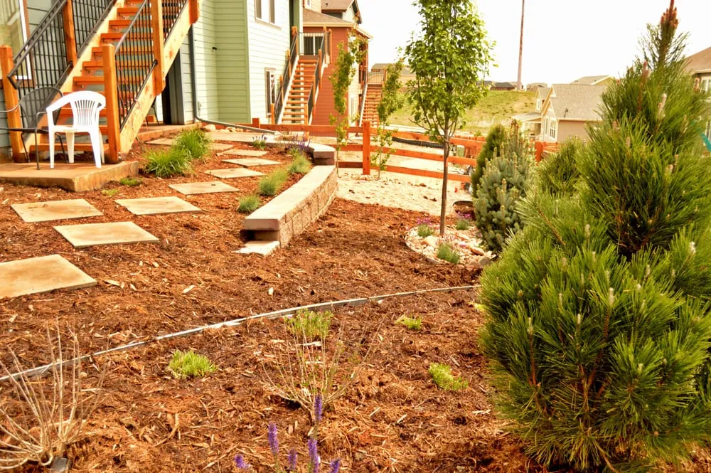 Local yard cleanup service with custom design in Littleton, CO by American Sprinkler & Landscape