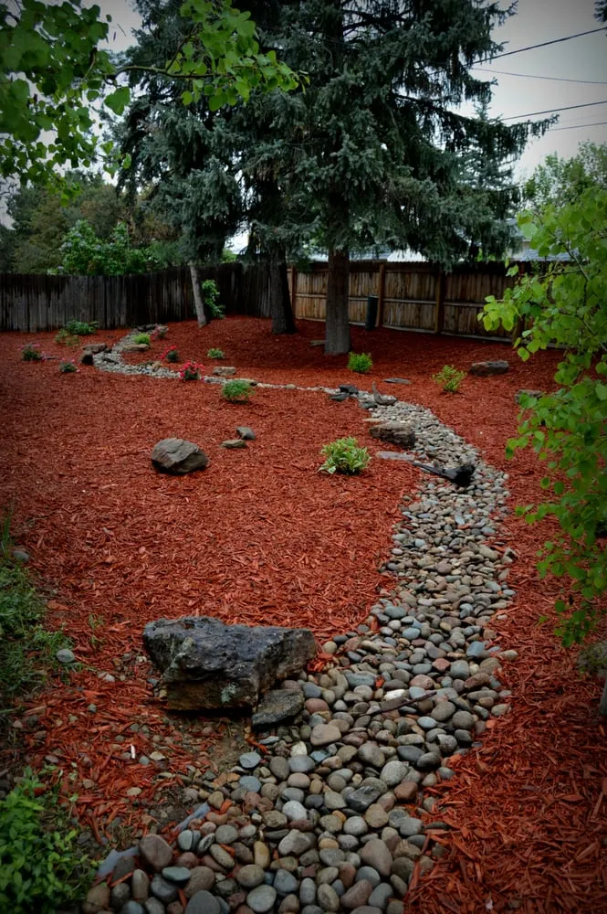 Local yard maintenance in Littleton, CO by American Sprinkler & Landscape